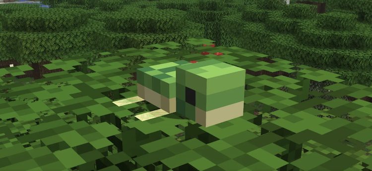 لاکپشت همچنین تغییر بزرگی در تکسچر و مدل خود در بازی ماینکرفت دریافت کرده است.