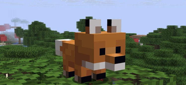 بچه روباه سر جعبهای شکل و چشمان سیاه دارد.