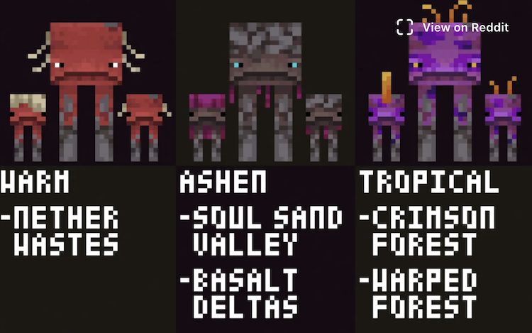 تصویر منتشر شده توسط بازیکن ماینکرفت