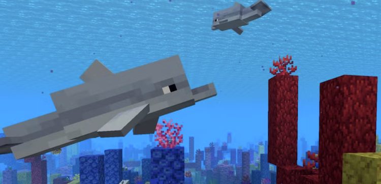 دلفینها در بازی ماینکرفت از زیبایی خاصی برخوردارند که همین آنها را به یکی از مابهای دوست داشتنی بازی تبدیل میکند.