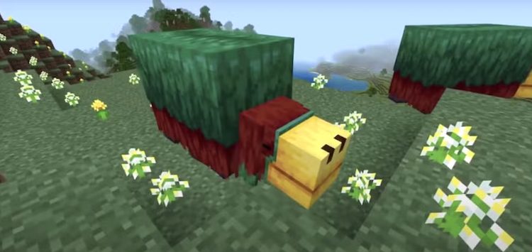 اسنیفرها در بازی ماینکرفت به شما کمک میکنند تا بذرها را پیدا کنید.