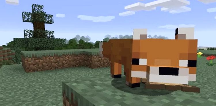 روباهها جزو مابهای زیبای بازی ماینکرفت هستند، ولی شکارچی قهاری هم به حساب میآیند.