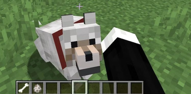 ماب گرگ یا همان وولف در بازی ماینکرفت میتواند در مبارزه با دشمنان به شما کمک کنند.