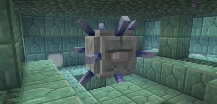 الدر گاردین در بازی ماینکرفت