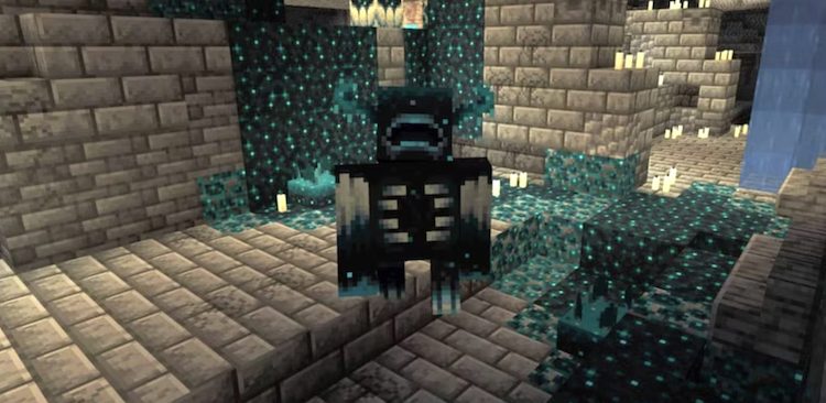 ماب واردن در بازی ماینکرفت نابینا است.