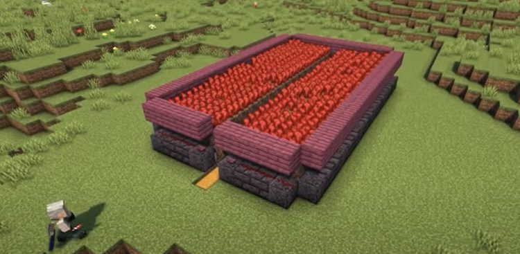 فارم Nether Wart در بازی ماینکرفت