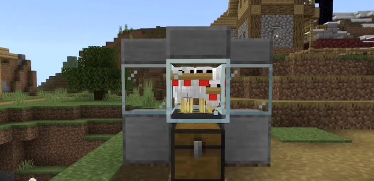 فارم تخم مرغ