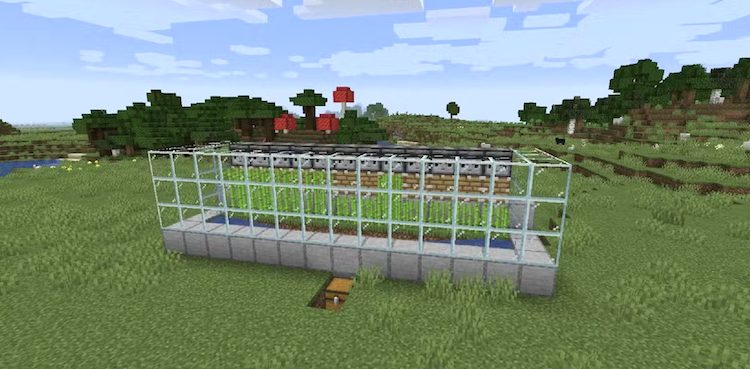 فارم نیشکر در بازی ماینکرفت