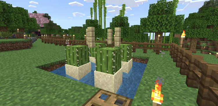 فارم کاکتوس در بازی ماینکرفت