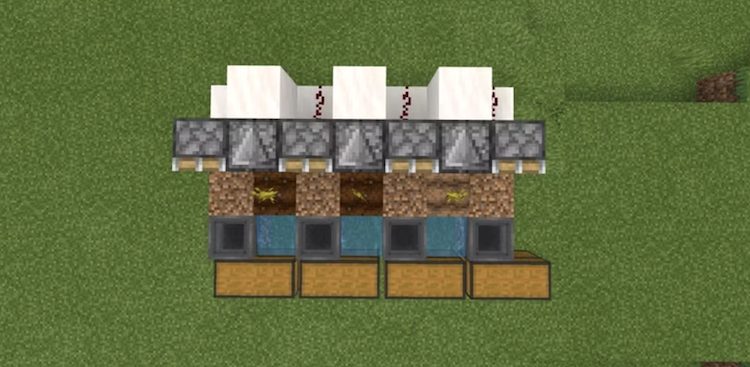 فارم Pumpkin/Melon