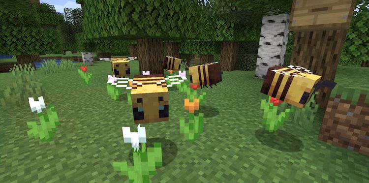 زنبورها در بازی ماینکرافت