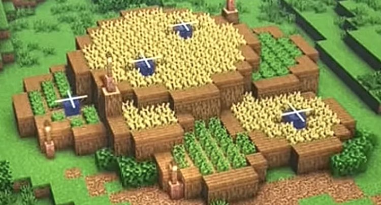 فارم با طراحی دایرهای در بازی ماینکرفت