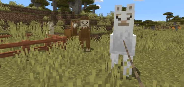 لاماها در بازی ماینکرفت بصورت گروهی و منظم حرکت میکنند.
