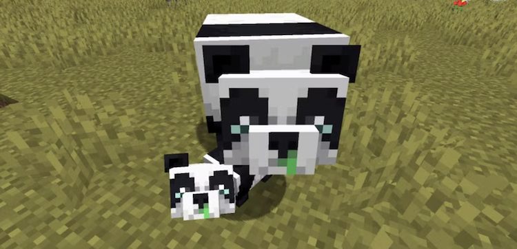 بچه پاندا و مادرش در بازی ماینکرفت