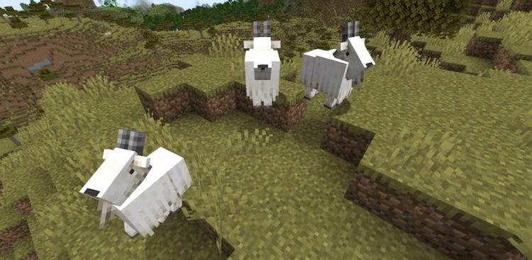 بعضی از بزها در بازی ماینکرفت فریادهای عجیب و غریبی میکشند.