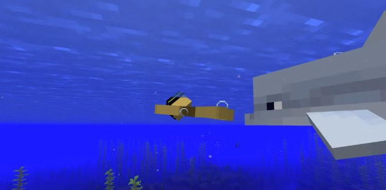 دلفینها میتوانند در این بازی دوست خوبی برای شما باشند.