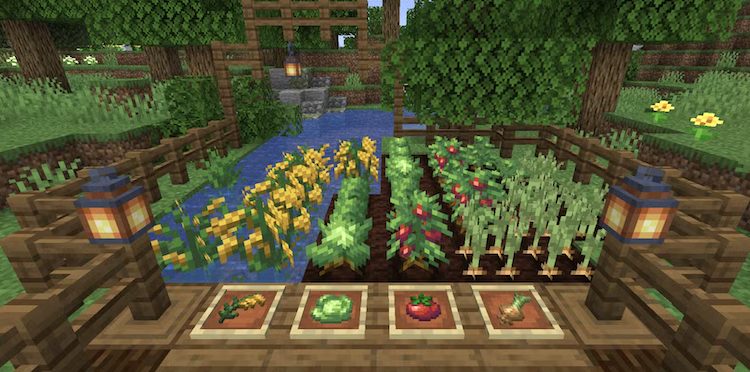 اگر دنبال کشاورزی و آرامش ناب هستید، ماد فارمرز دیلایت برای بازی ماینکرفت میتواند شما را هدفتان برساند.