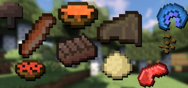 ماد فود اکسپنشن: ریایمجیند برای بازی ماینکرفت باعث میشود تا از همه چیز به عنوان غذا استفاده کنید.