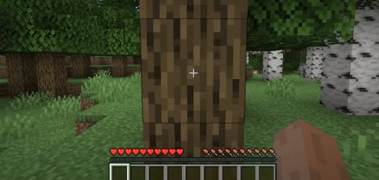 ماد اپلاسکین برای بازی ماینکرافت (AppleSkin) غذای جدیدی اضافه نمیکند، بلکه HUD مربوط به آن را بهبود میدهد.