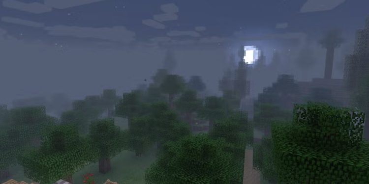 ماد داینامیک ساراندینگز برای بازی ماینکرفت ویژگیهای زیادی مانند افکتهای پارتیکل، تاریکی آسمان و شدت بارش برف یا باران را کنترل میکند.