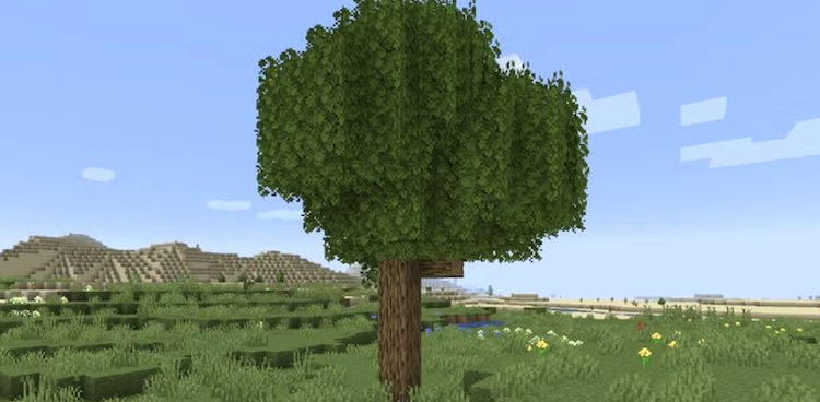 ماد بتر فولیج رینیود برای بازی ماینکرافت ظاهر برگها و تقریباً تمام گیاهان بازی را بهبود میبخشد.