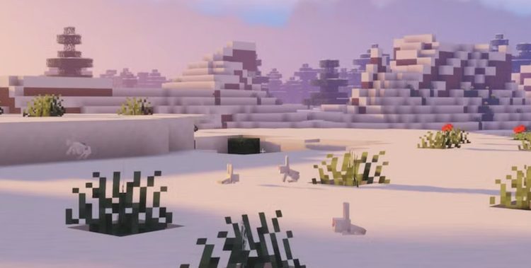 خرگوش در بایومهای برفی ماینکرفت بسیار زیاد هستند و میتوانید به راحتی پیدا کنید.