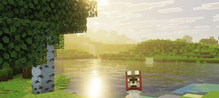 وایبرنت ویژوالز (Vibrant Visuals) به احتمال زیاد با یک بهروزرسانی بزرگ برای ماینکرفت از راه خواهد رسید.