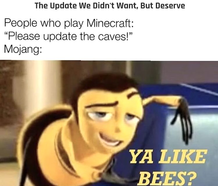 این میم از بازی ماینکرفت به تضاد عملکردی استودیوی سازنده در مقابل درخواست بازیکنان اشاره میکند.