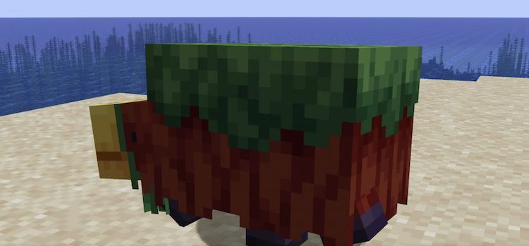 مشکل پیکسلهای گمشده در اسنیفلت اکنون در بازی ماینکرفت برطرف شده است.