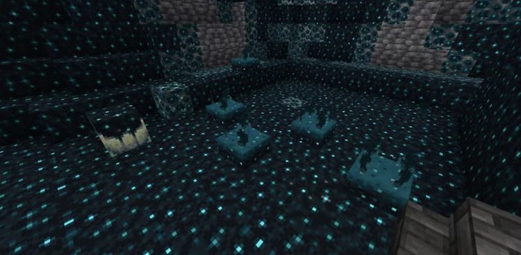 با ساخت فارم ایکس پی در بایوم دیپ دارک بازی ماینکرفت میتوانید به سرعت xp دریافت کنید، ولی مواظب باشید تا مبادا با سهل انگاری واردن را اسپاون کنید.