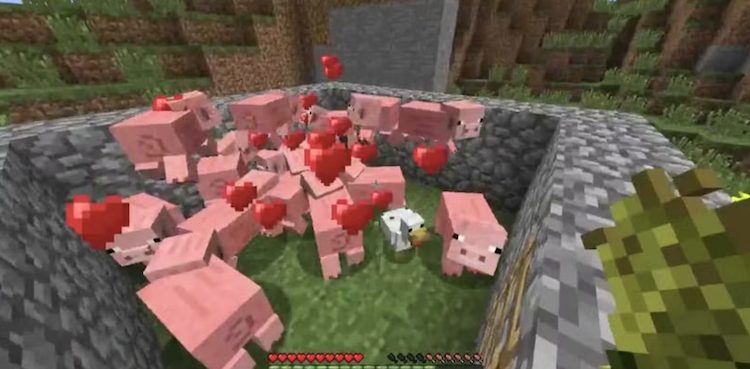 شما با ساخت فارمهای بزرگ و کنترل جمعیت از طریق کشتن و جفتگیری مجدد حیوانات در بازی ماینکرفت میتوانید مقدار زیادی ایکس پی بدست آورید.