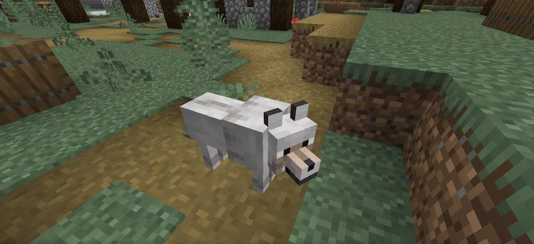 گرگها میتوانند بسته به تکسچرهایشان، مدلهای جدید مختلفی در بازی ماینکرفت داشته باشند.