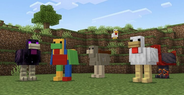افزونه‌ی ماینکرفت چیکن مانت (Minecraft Chicken Mounts) پانزده نوع جدید از این ماب را معرفی می‌کند.
